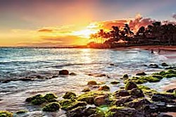 Tropical Beach Get Away