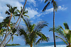 Kona Bali Kai Top Floor Oceanfront Condo