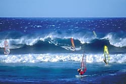 Great Location Beach Cottage