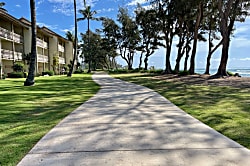 Islander on the Beach #348