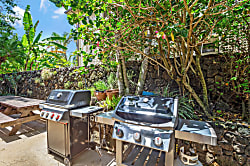 Kauai Prince Kuhio 307