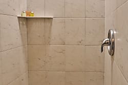 Polynesian Shores #201