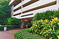 Aloha Towers #6A