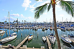 Ilikai Marina #386