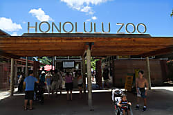 Kuhio Village Towers #1