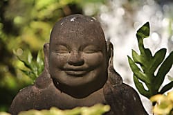 Kaanapali Shores Garden View