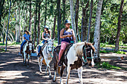 Ocean Villas at Turtle Bay 102