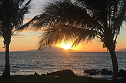 The Palms at Wailea 605