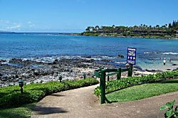 Napili Shores Resort H-167