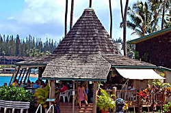 Napili Shores Resort  I-173