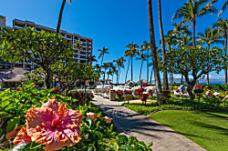 Kaanapali Alii #2104