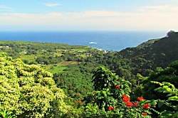 Polynesian Shores 103