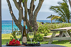 Polynesian Shores 125