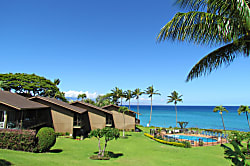 Polynesian Shores 101