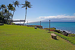 Polynesian Shores 101