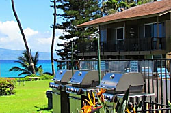 Polynesian Shores 101