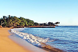 Pakala Plantation Estate