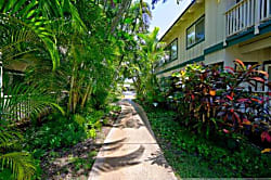 Regency 111 - Hale Aataanig