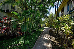 Regency 111 - Hale Aataanig