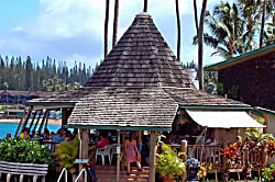 Napili Shores Resort E-243