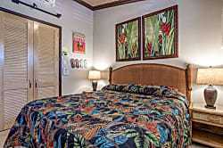 Napili Shores Resort E-243