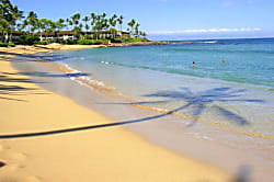 Napili Shores Resort E-243