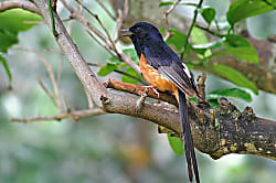 Kealia Landing House