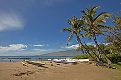 Kihei Bay Surf #109