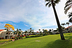 Palms at Wailea #205