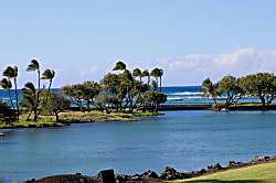 Mauna Lani Terrace H203