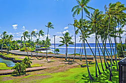 Prince Kuhio 318