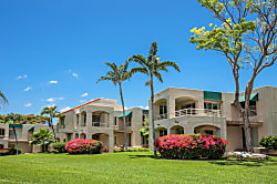 Palms at Wailea #1902