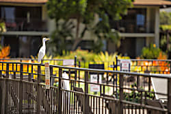 Waiohuli Beach Hale #127
