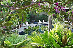 Prince Kuhio Studio 116