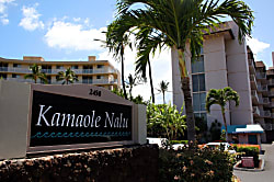 Kamaole Nalu 604