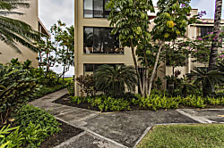 Surf and Racquet 1-206