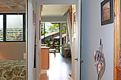 Polynesian Shores #220