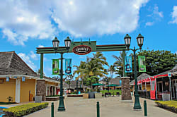 Islander on the Beach Rental