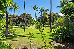 Kanaloa at Kona 1 Bd Condo Rental