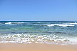 Islander on the Beach 352