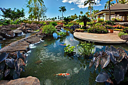Beach Villas at Ko Olina B-702