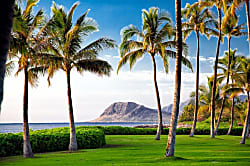 Beach Villas at Ko Olina Ocean Tower 511