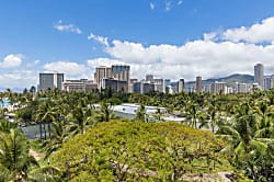 Waikiki Shore 600