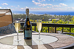 Wailea Ekolu 2 Story Condo