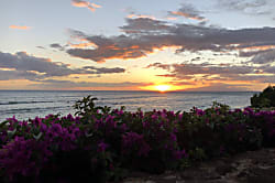 Shores of Maui 102