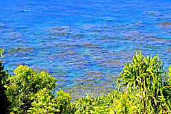 HollysKauaiCondo Alii Kai-5204