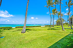 Pono Kai Resort B-101