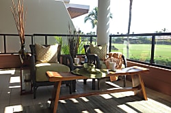 Dancing Dolphins Point