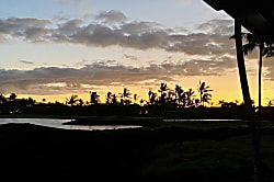 Dancing Dolphins Point