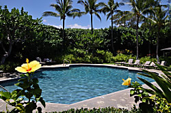 Dancing Dolphins Point